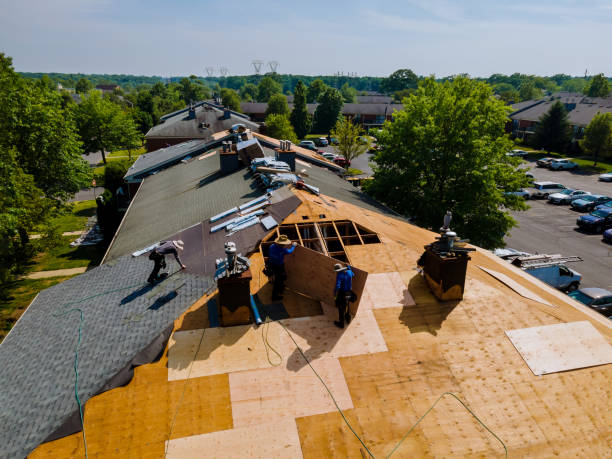 Roof Gutter Cleaning in Johns Creek, GA